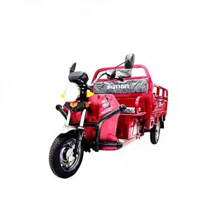 Factory Direct Sale Electric Motorbike Taga Bike Cargo Moto Electrica Quad 3 Wheel Trike 4 Seater Car Motorized Tricycle