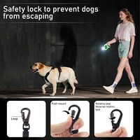 Nouvelle Laisse Rétractable USB 2025 pour Chien 5m, en Nylon Style Western avec Lampe de Poche LED, Idéale pour les Bestsellers Amazon et la Promenade en Extérieur