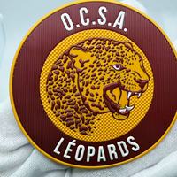 Patch en TPU personnalisé avec logo pour la décoration de vêtements, chaussures, sacs, chapeaux et vestes – Vente en gros usine pour fabricants et marques