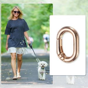 <b>Spring</b> O Rings Oval Metal <b>Clips</b> <b>Spring</b> Key Ring Buckle Clasps - Product Image 4