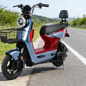 Plegable |   Estructura de Acero al Carbono |   Motor sin Escobillas de 48V 12Ah/20Ah 500W/1000W |   Bicicleta Eléctrica para Adultos con Autonomía de 50 km - Product Image 1