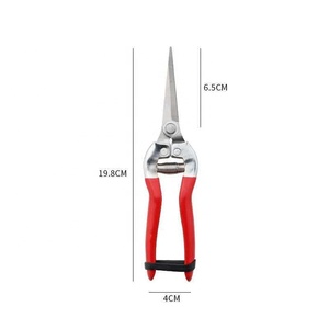 Ciseaux à fleurs, sécateurs <span class=keywords><strong>de</strong></span> jardinage, outil spécial pour fleuristes, arrangement floral, cueillette <span class=keywords><strong>de</strong></span> fruits, lame SK5 - Product Image 3