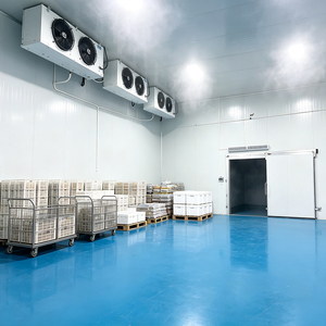 Cámara de Almacenamiento en Frío con Atmósfera Controlada Industrial para la Preservación de Frutas y Verduras Frescas con Temperatura y Humedad Estables - Product Image 1