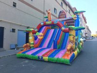 Équipement de terrain de jeu pour enfants Balorama de haute qualité Toboggan gonflable Couleur facultative personnalisée 6m X 4m X 5m Garantie de 2 ans