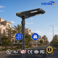 Lampadaire solaire LED intégré Hishine 180lm/W avec panneau bifacial MPPT pour entrepôt, parking, route industrielle, éclairage extérieur