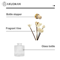 Flacon diffuseur de parfum en verre transparent elliptique de luxe, 50 ml, vide