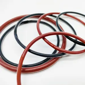 Geen Giftige Afdichten Medische En Chemische Seals Pfa Fep Fkm Siliconen Ecapsulsated O-Ring Ptfe Ingekapseld Rubber O Ringen