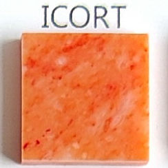 ICORT