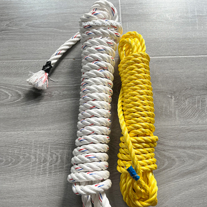 Cuerda de Polipropileno Trenzada Amarilla de 4mm a 60mm, Mecate Amarillo, Cuerda Monofilamento Danline para Agricultura Marina y Logística - Product Image 4