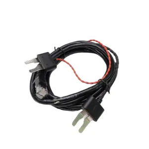 2Pin Battery Cable Assembly Custom Auto Electric Lithium Solar Battery 2Pin Connector Energy Storage Wiring Harness