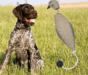 หุ่นจำลองเป็ดสำหรับฝึกสุ<span class=keywords><strong>น</strong></span>ัข ของเล่<span class=keywords><strong>น</strong></span>ลอยน้ำสำหรับลูกสุนัขและสุนัขโต ใช้สำหรับการล่าสัตว์ ฝึกการดึงกลับ ทนทา<span class=keywords><strong>น</strong></span> อุปกรณ์เสริมสำหรับการฝึกสัตว์เลี้ยง - Product Image 6