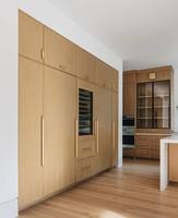 Tendance 2026 : Meuble de cuisine Slim Shaker en chêne blanc avec panneau de porte laqué, construction en contreplaqué, évier inclus, pour usage commercial