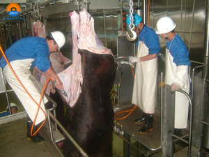 Línea de Sacrificio de Ganado con Capacidad de 50 Cabezas por Día para Planta Procesadora de Carne de Res, Máquina de Sacrificio de Vacas para Matadero Halal - Product Image 3