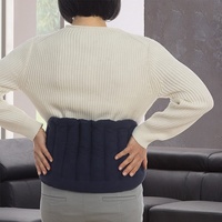 Coussin chauffant en argile naturelle et réutilisable pour soulager la douleur, sacs de blé chauffants pour le dos