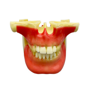 Modèle pour les étudiants à pratiquer la plantation de vis; modèle pour pratiquer avec des modèles d'os moussants - Product Image 1