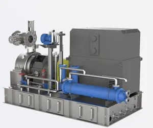 Individueller Farbschnitt 100 kW Dampferzeuger professioneller Lieferant mit hocheffizienter Dampfturbine für Kraftwerk
