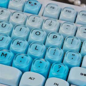 Teclas Blueberry, Perfil <span class=keywords><strong>HOA</strong></span>, Material PBT, Teclas Sublimadas por Tinte, 131 Teclas para Interruptor Mx, Teclado Mecánico 61/64/68/104/108 - Product Image 2