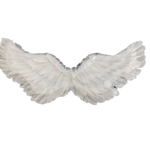 Ailes d'ange légères et non toxiques en plumes naturelles, accessoire de costume adapté aux enfants pour les fêtes d'Halloween et le cosplay (vente en gros) - Product Image 2
