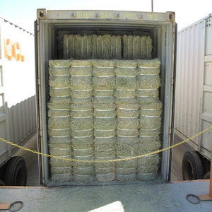 Foin de luzerne de qualité supérieure pour chevaux, bovins et porcs avec une humidité de 8% et une durée de conservation de 10 mois - Product Image 4