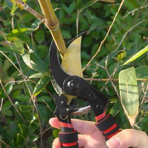 Ciseaux <span class=keywords><strong>de</strong></span> jardinage professionnels à commande manuelle pour la taille des plantes, la récolte des herbes, outil <span class=keywords><strong>de</strong></span> <span class=keywords><strong>fleuriste</strong></span> - Product Image 4