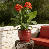 Ensemble de pots à fleurs en céramique émaillée, écologiques, durables, rouge bordeaux brillant, texture en rotin tressé, pour l'intérieur et l'extérieur, jardin
