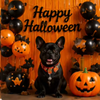 Kit de Décorations d'Halloween et d'Anniversaire : Bannière, Rideau de Guirlandes, Toile de Fond, Ballons Chiffres, Fournitures de Fête Citrouille Joyeuse Halloween