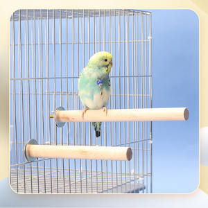 Hot <strong>Sale</strong> Bird Stand Hanging Wood Pole Bird <strong>Parrot</strong> Products - Product Image 4