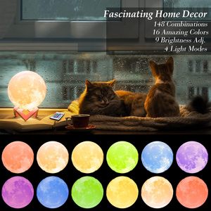 Lampe de nuit LED ours RVB blanc chaud à intensité variable, rechargeable par USB, avec interrupteur, pour une ambiance romantique, vente en gros - Product Image 6