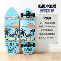 Skateboard de surf terrestre sans poussée pour débutants, planche de cruiser de surf avec roues imprimées double face, pour adultes, sport de surf terrestre