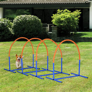 Hunde training im Freien - Product Image 1