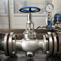 Vanne à soupape manuelle à molette en acier inoxydable à bride pour conduite de refoulement de pompe, PN16, pour systèmes de pipeline industriels