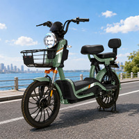 Scooter électrique 48V20A 500W, pneu à vide de 20 pouces, moteur de moyeu arrière, électronique, 2 places pour adultes