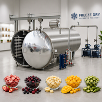 Machine de lyophilisation industrielle par congélation sous vide pour la séchage des aliments : équipement de séchage pour poitrine de canard, jaune d'œuf, fruits et légumes