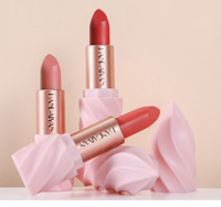 Rouge à lèvres mat, rouge à lèvres velours, longue tenue, anti-transfert, brillant à lèvres rouge, produits de maquillage en gros