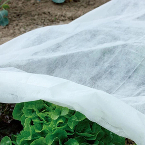 Vải Không Dệt <span class=keywords><strong>Pp</strong></span>/Tái Chế Chất Thải <span class=keywords><strong>PP</strong></span> Vải Không Dệt 3% UV <span class=keywords><strong>PP</strong></span> Spun Bond Nông Nghiệp Không Dệt/Spun-Bonded Nông Nghiệp - Product Image 2