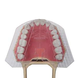 Complete <strong>Denture</strong> False Teeth Arrangement Dental Articulator Guide Template <strong>Plates</strong> - Product Image 5