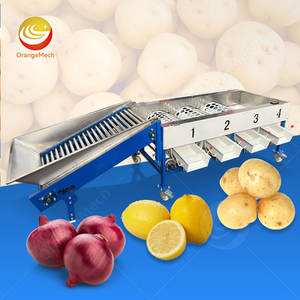 Machine de tri et de classement des oignons, des citrons frais, des oranges, des fraises et des pommes ORME - Product Image 1