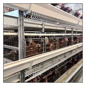 Equipo Avícola Automático Tipo H, Jaulas de Alimentación para Cría de Pollos, Sistema de Baterías para Gallinas Ponedoras Tipo H - Product Image 1