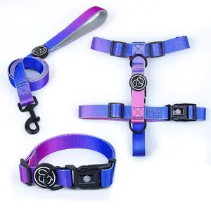 Gradient bravecto Fashionable Nylon high quality dog collar leash and harness set for puppy