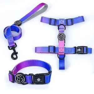 Gradient Bravecto Fashionable Nylon High Quality Dog Collar Leash And Harness Set For Puppy