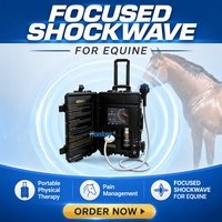 Appareil de thérapie par ondes de choc focalisées pour la rééducation vétérinaire, les soins et la récupération des chevaux