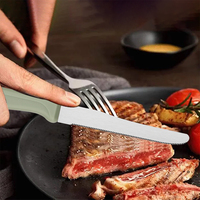 Ensemble de 6 couteaux à steak dentelés pour le camping et la randonnée, lame en acier inoxydable, manche en PP, boîte de voyage portable