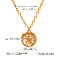 Collier avec pendentif en forme d'étoile de mer en coquillage plaqué or 18 carats, chaîne en acier inoxydable, style océan