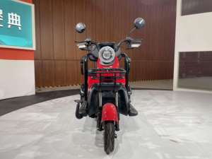 Triciclo Elettrico a 3 Ruote con Motore Posteriore da 600W, Telaio in Acciaio, Veicolo Passeggeri, Batteria al Piombo-Acido - Product Image 2