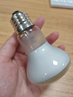 Ampoule chauffante personnalisée pour reptiles, lampe chauffante de jour pour tortue, lézard, dragon barbu, terrarium