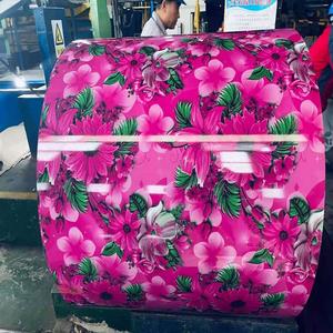 Bobina de Acero Galvanizado Prepintado <span class=keywords><strong>PPGI</strong></span> con Relieve Profundo, Servicios de Corte y Doblado, Estándares ASTM/GB - Product Image 6