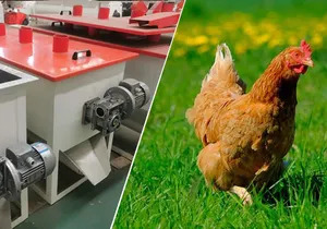 Mesin pembuat pakan ayam produksi pakan hewan mesin pellet pakan ternak