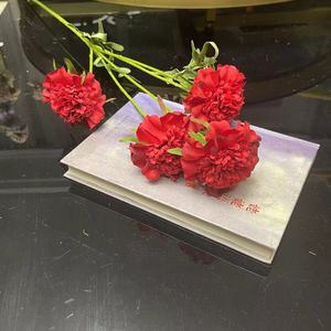 Soportes <span class=keywords><strong>de</strong></span> decoración <span class=keywords><strong>de</strong></span> flores <span class=keywords><strong>de</strong></span> boda artificiales realistas hechos a mano <span class=keywords><strong>de</strong></span> 70CM Scabiosa Atropurpurea Pine Worm Grassflowers decoración <span class=keywords><strong>de</strong></span> boda - Product Image 4
