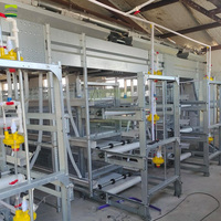 Solution clé en main pour ferme avicole de 250 000 poulets – Équipement d'élevage de poulets de chair entièrement automatique pour grande installation commerciale de poulets de chair