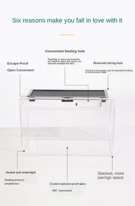 Barbare BG Croissance ZJDS-P04 La cage que <span class=keywords><strong>reptile</strong></span> animaux amour lézard aménagement paysager cylindre <span class=keywords><strong>reptile</strong></span> terrarium